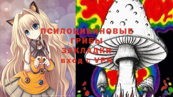 первитин Алексеевка