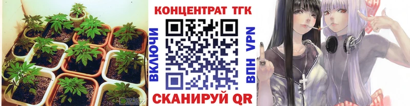 купить наркотик  Оленегорск  ТГК гашишное масло 