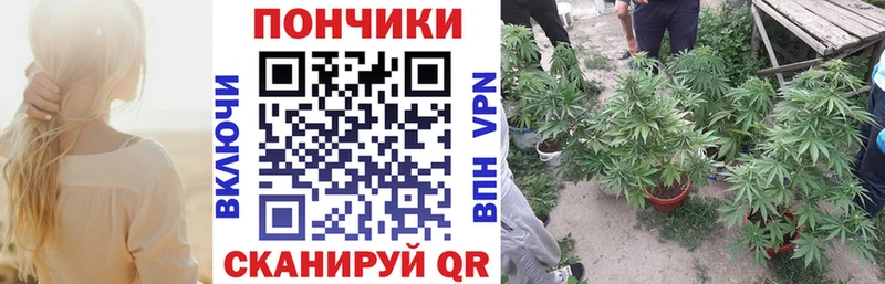 Конопля конопля  Оленегорск 
